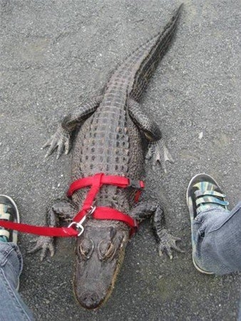 Başka yerde göremessiniz 9