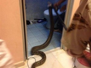 Başka yerde göremessiniz