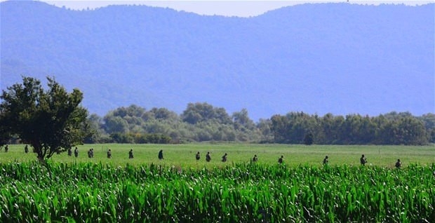 Suikast timi böyle yakalandı! 14