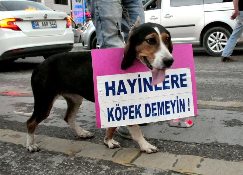 Meydanların en dikkat çeken pankartları 3