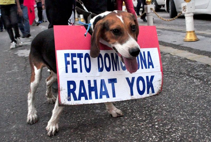 Meydanların en dikkat çeken pankartları 49