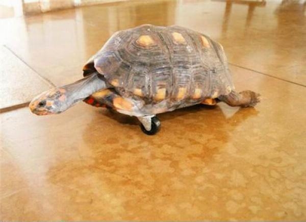 Bu da Suriyelilerin 'Vantilatör klima'sı 91