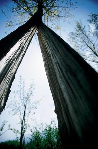 Marmara Depremi'nin 17.yıldönümü 49