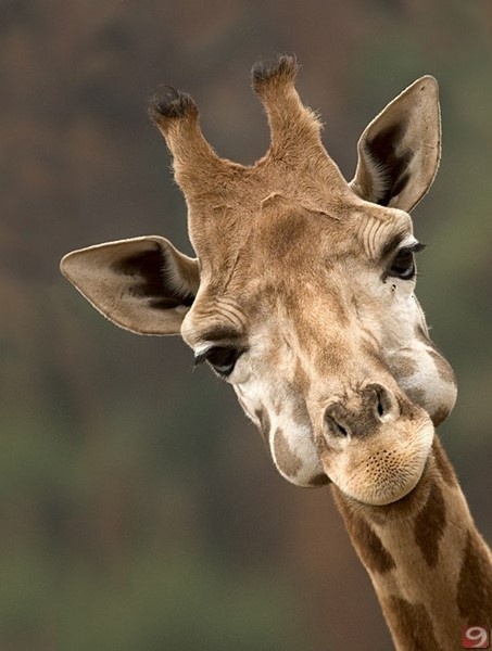 Birbirinden ilginç şaşırtıcı bilgiler 20