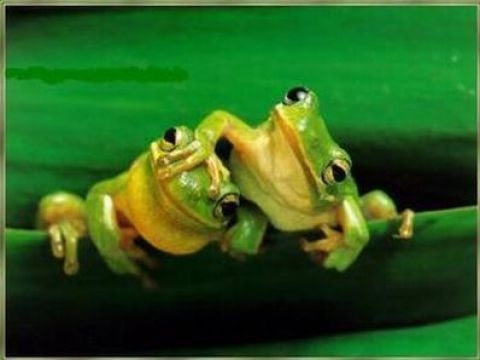 Birbirinden ilginç şaşırtıcı bilgiler 23