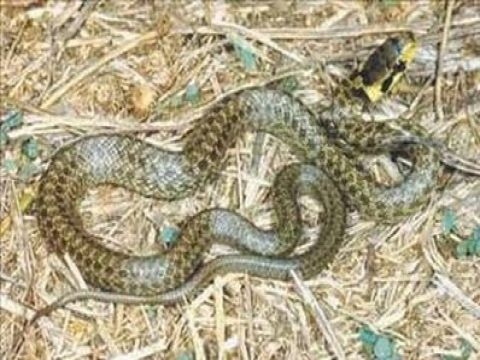 Birbirinden ilginç şaşırtıcı bilgiler 25