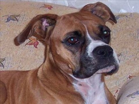 Birbirinden ilginç şaşırtıcı bilgiler 26