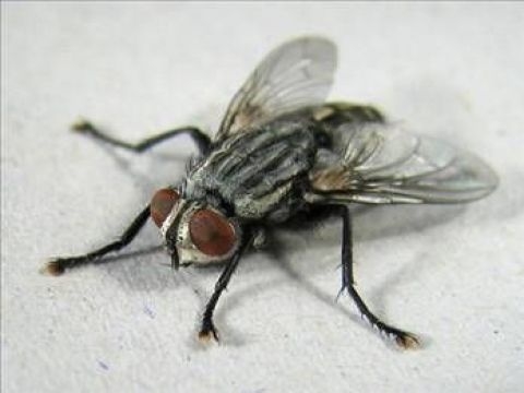 Birbirinden ilginç şaşırtıcı bilgiler 7