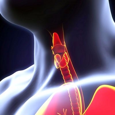 Saç dökülmesi, kilo artışı ve halsizlik varsa… 20