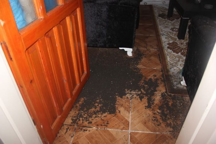 Patlama sonrası dikkat çeken ayrıntı 2