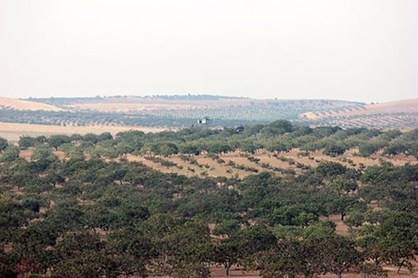 Dünya harekatı bu karelerle gördü 34