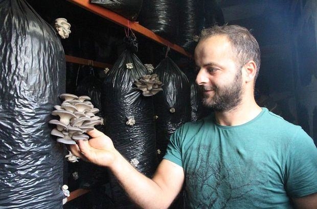 İşçiliği bırakıp mantar üreticisi oldu 2