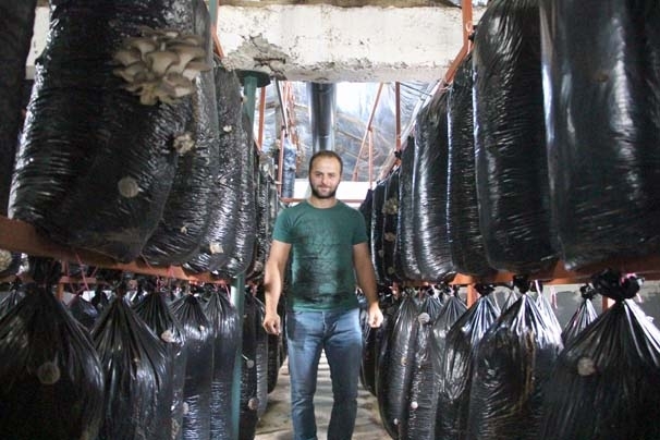 İşçiliği bırakıp mantar üreticisi oldu 7