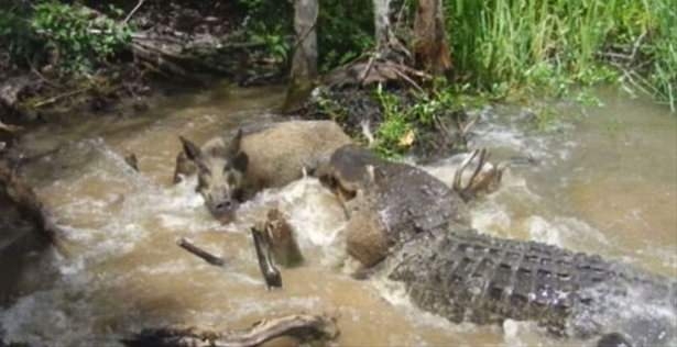 Güneş battıktan sonra ortaya çıkıyor! 145