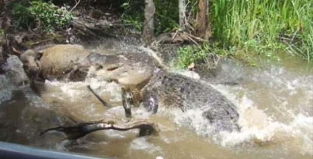 Güneş battıktan sonra ortaya çıkıyor! 146