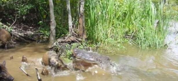 Güneş battıktan sonra ortaya çıkıyor! 147