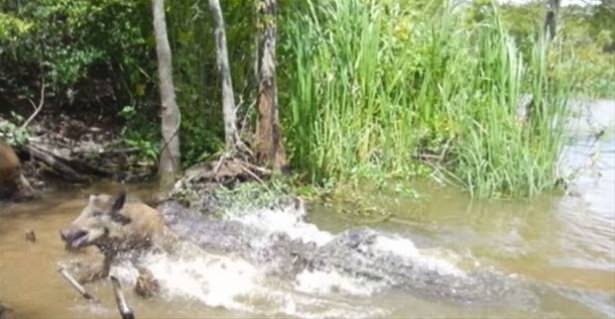 Güneş battıktan sonra ortaya çıkıyor! 149