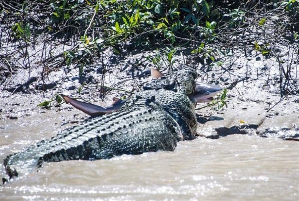 Güneş battıktan sonra ortaya çıkıyor! 155