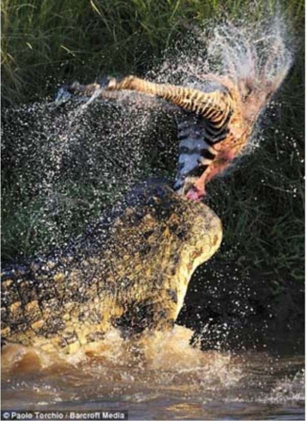 Güneş battıktan sonra ortaya çıkıyor! 190