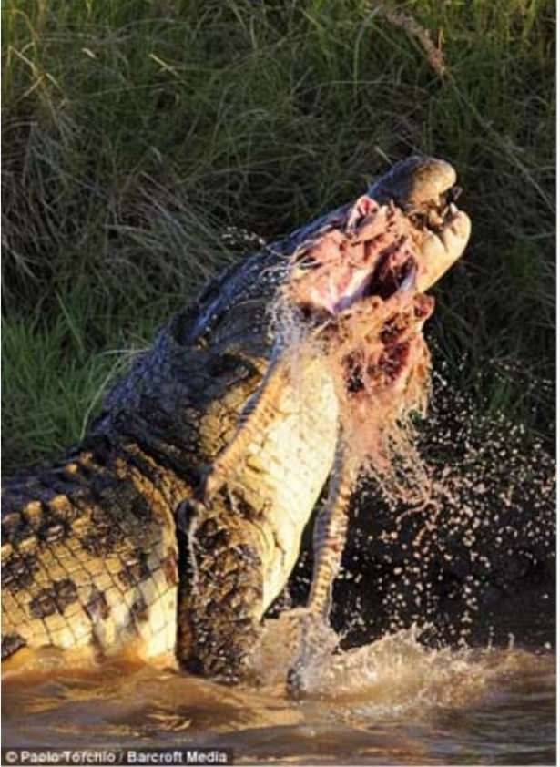 Güneş battıktan sonra ortaya çıkıyor! 191