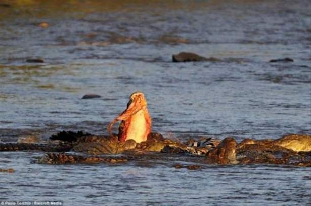 Güneş battıktan sonra ortaya çıkıyor! 193