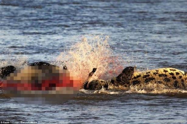 Güneş battıktan sonra ortaya çıkıyor! 196