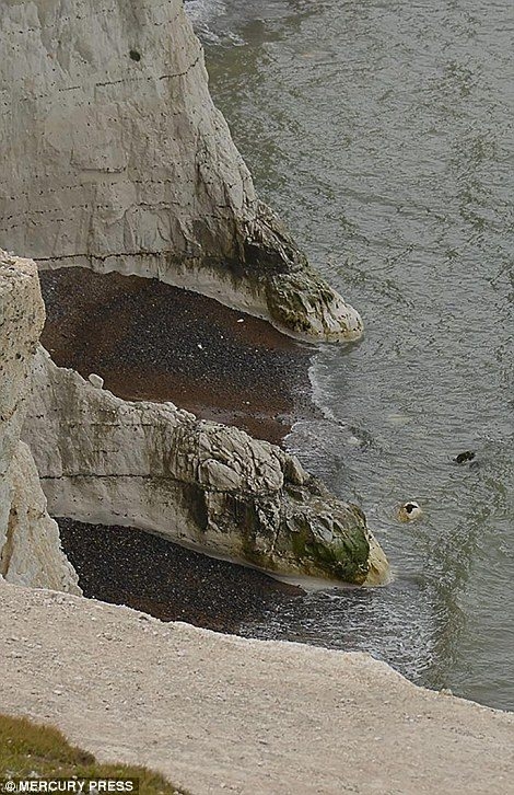 Güneş battıktan sonra ortaya çıkıyor! 223