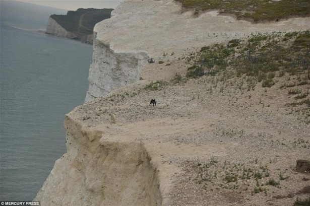Güneş battıktan sonra ortaya çıkıyor! 226