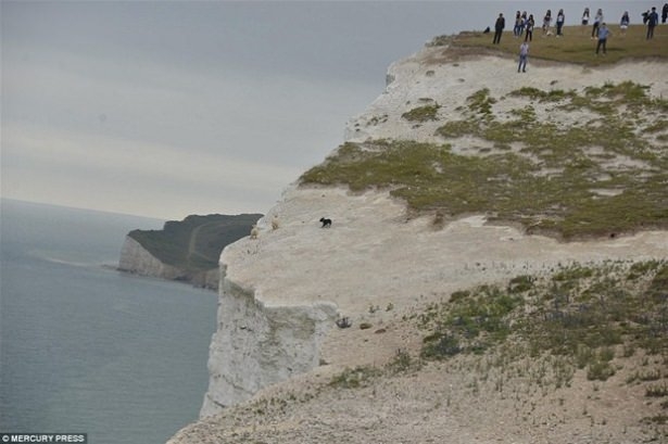 Güneş battıktan sonra ortaya çıkıyor! 227