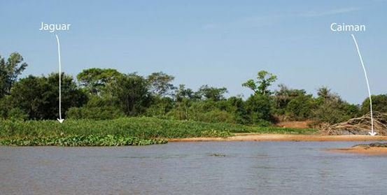 Güneş battıktan sonra ortaya çıkıyor! 248