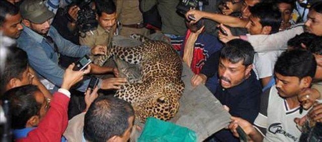 Güneş battıktan sonra ortaya çıkıyor! 289