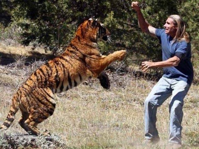 Güneş battıktan sonra ortaya çıkıyor! 290