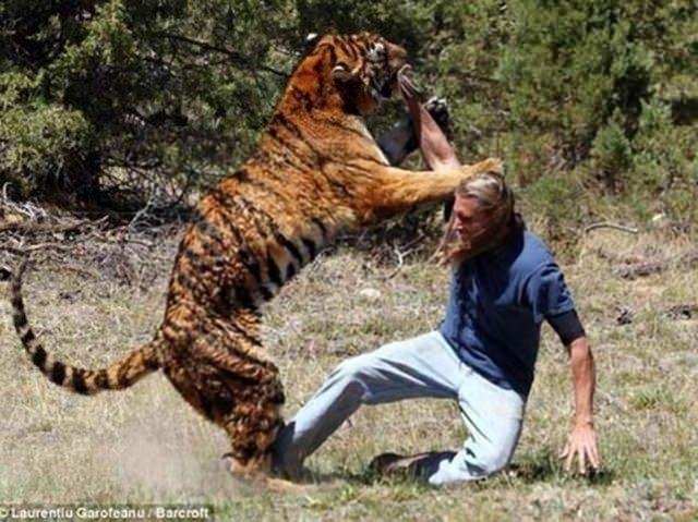 Güneş battıktan sonra ortaya çıkıyor! 291