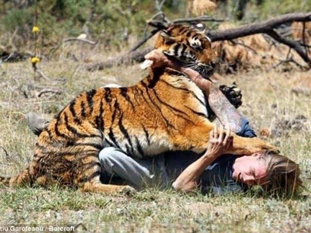 Güneş battıktan sonra ortaya çıkıyor! 294