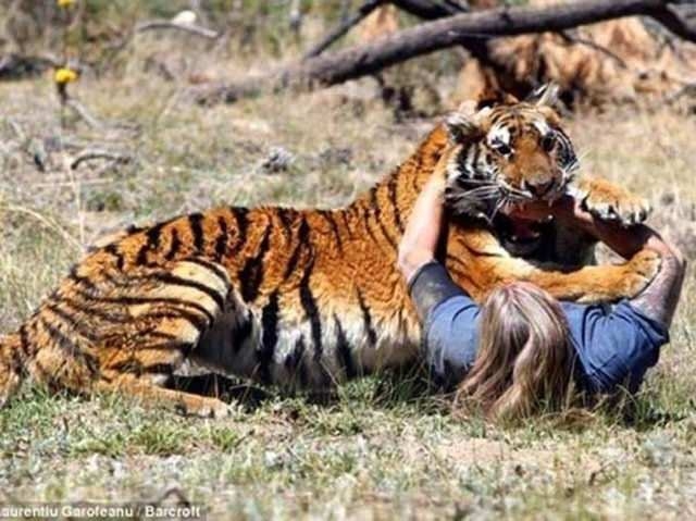 Güneş battıktan sonra ortaya çıkıyor! 296