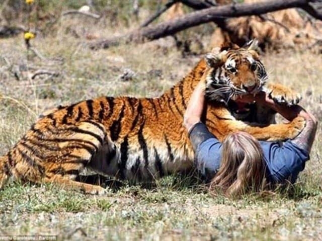 Güneş battıktan sonra ortaya çıkıyor! 301