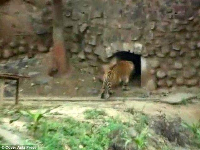 Güneş battıktan sonra ortaya çıkıyor! 310