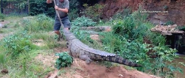 Güneş battıktan sonra ortaya çıkıyor! 322