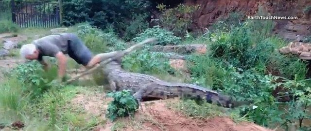 Güneş battıktan sonra ortaya çıkıyor! 323