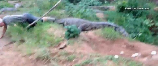 Güneş battıktan sonra ortaya çıkıyor! 324