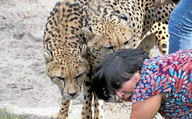 Güneş battıktan sonra ortaya çıkıyor! 328