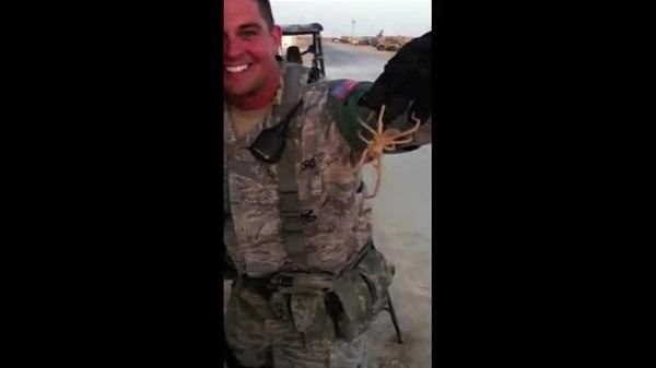 Güneş battıktan sonra ortaya çıkıyor! 4