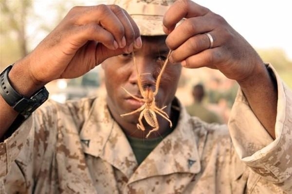 Güneş battıktan sonra ortaya çıkıyor! 6