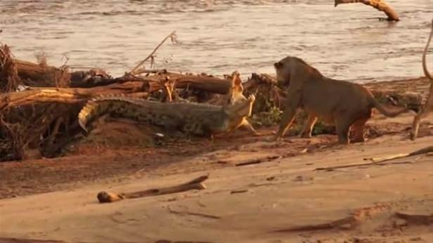 Güneş battıktan sonra ortaya çıkıyor! 94