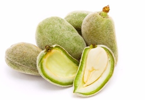 21. yüzyıl zayıflama yiyeceği! 16