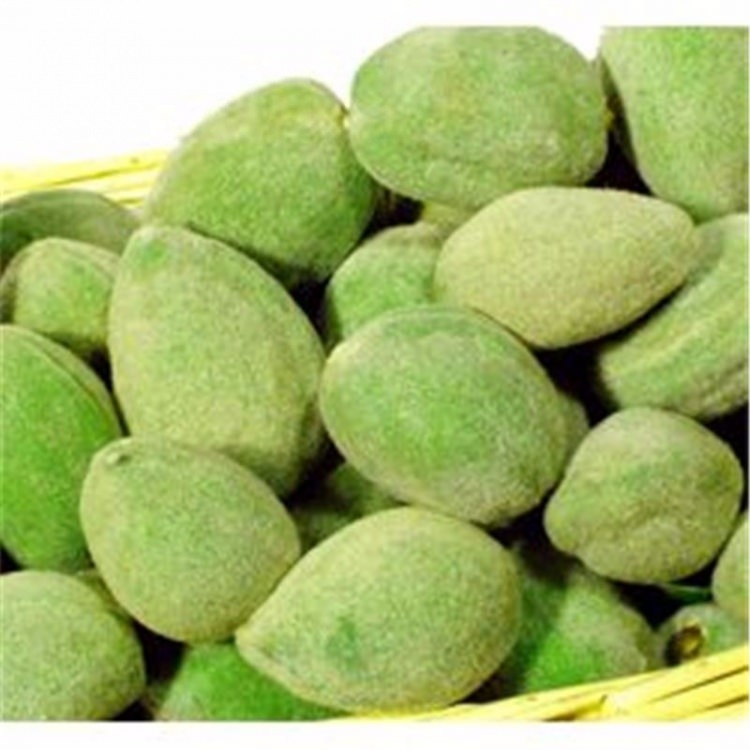 21. yüzyıl zayıflama yiyeceği! 18