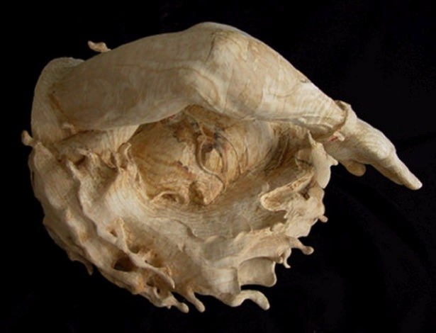 Evini samandan yaptı 105