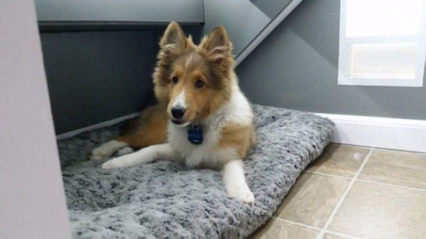 Evini samandan yaptı 77