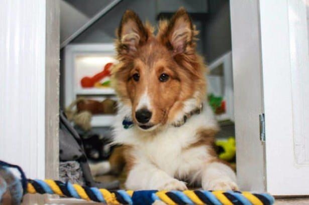 Evini samandan yaptı 78