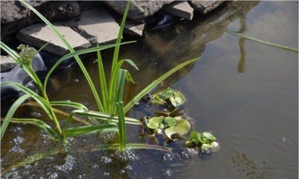 Evini samandan yaptı 93